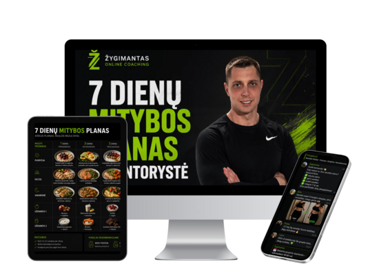 Mitybos planas + Mentorystė 3 mėn.